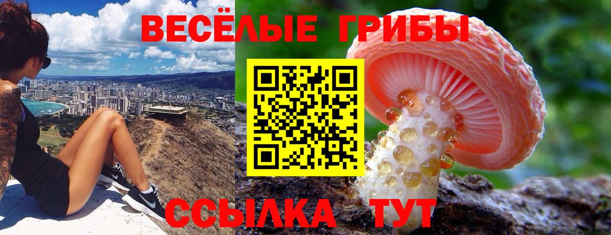 Галлюциногенные грибы прущие грибы Учалы