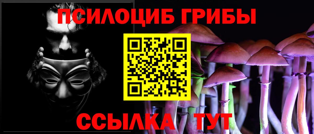 Псилоцибиновые грибы Cubensis  Вход с VPN  Учалы 